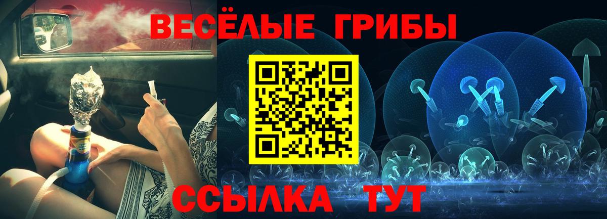 Псилоцибиновые грибы прущие грибы  Вход с VPN  Новоалександровск 